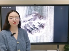 Os PP grampeiam a fibra